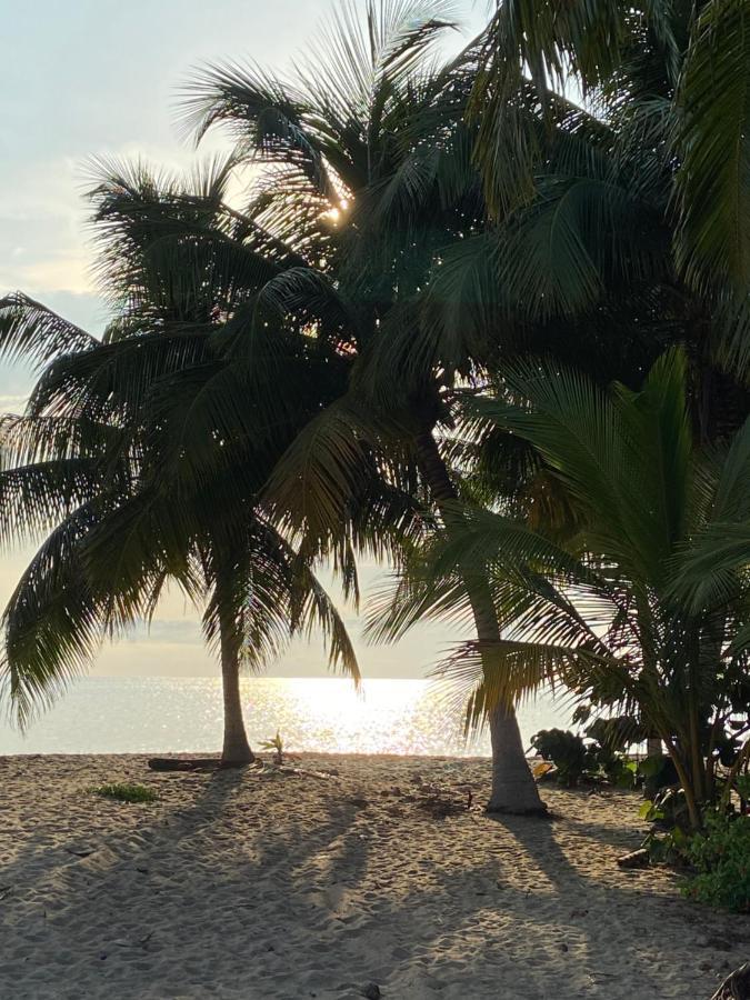 Anda Di Hows Hostel Placencia المظهر الخارجي الصورة