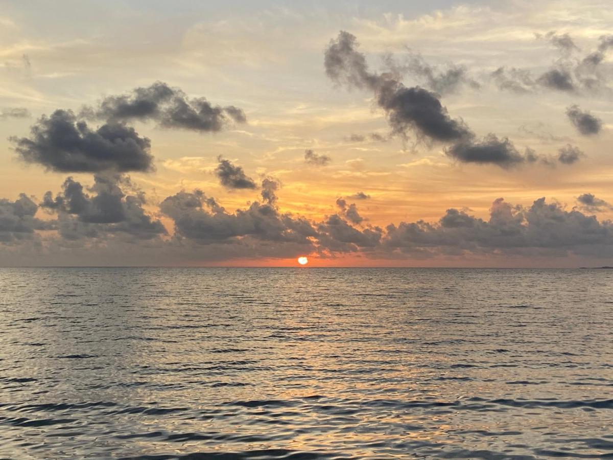 Anda Di Hows Hostel Placencia المظهر الخارجي الصورة