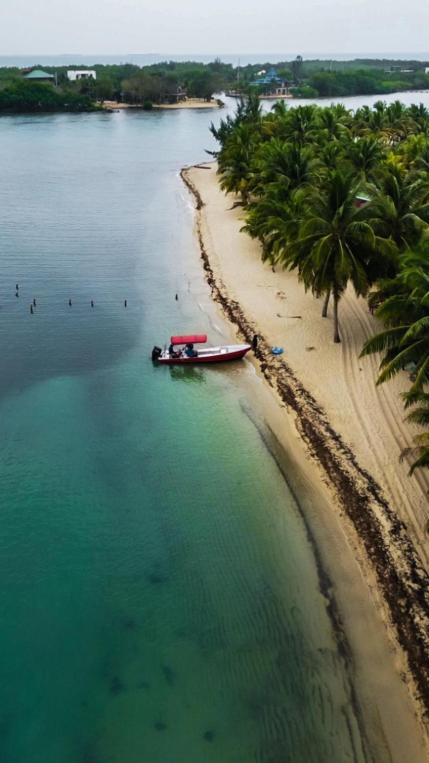 Anda Di Hows Hostel Placencia المظهر الخارجي الصورة