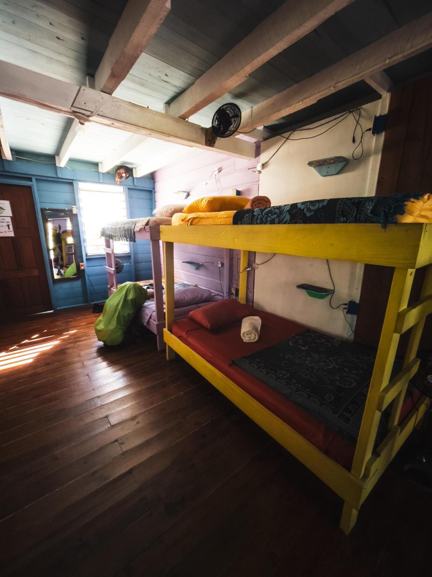 Anda Di Hows Hostel Placencia المظهر الخارجي الصورة