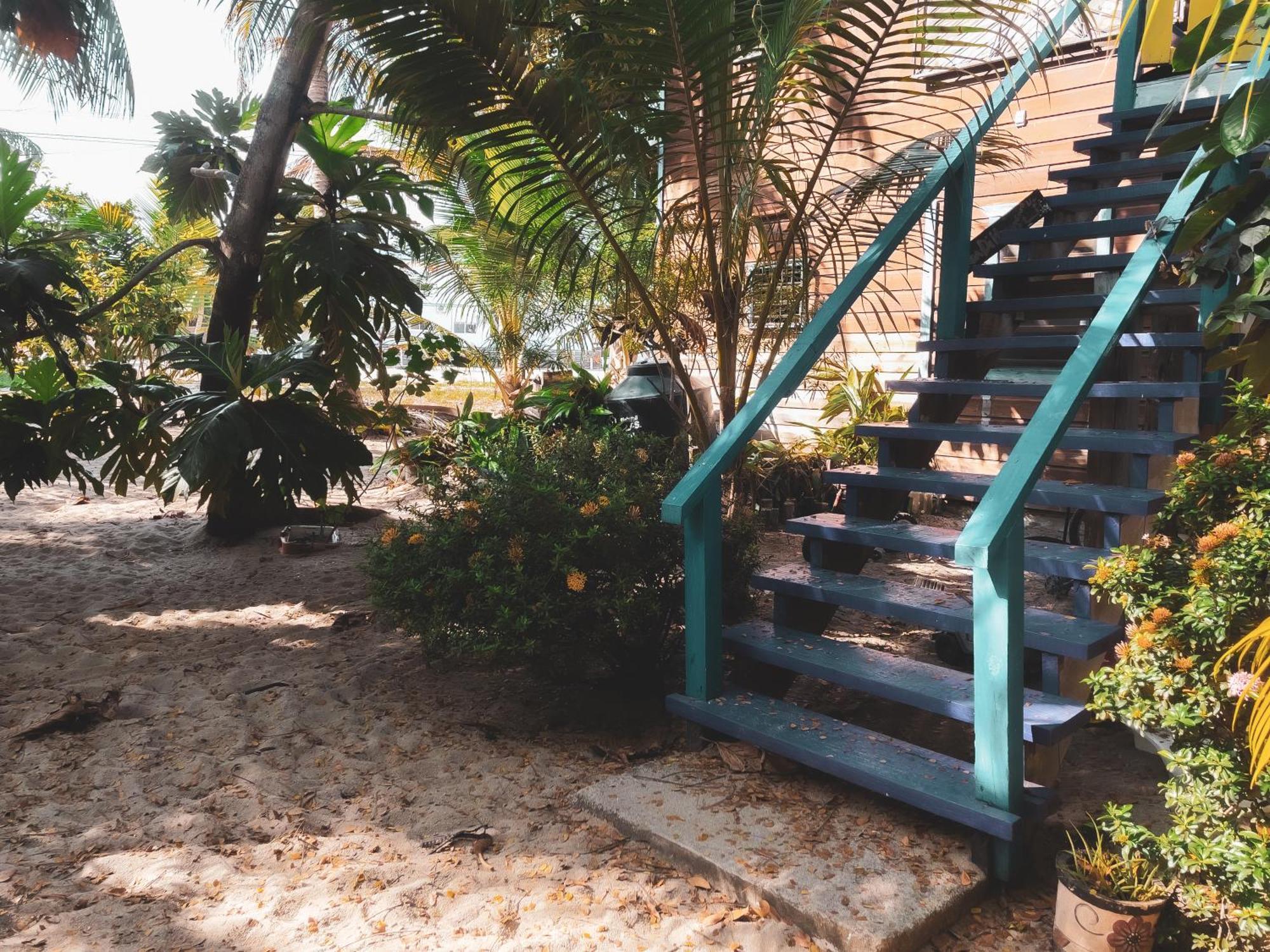 Anda Di Hows Hostel Placencia المظهر الخارجي الصورة