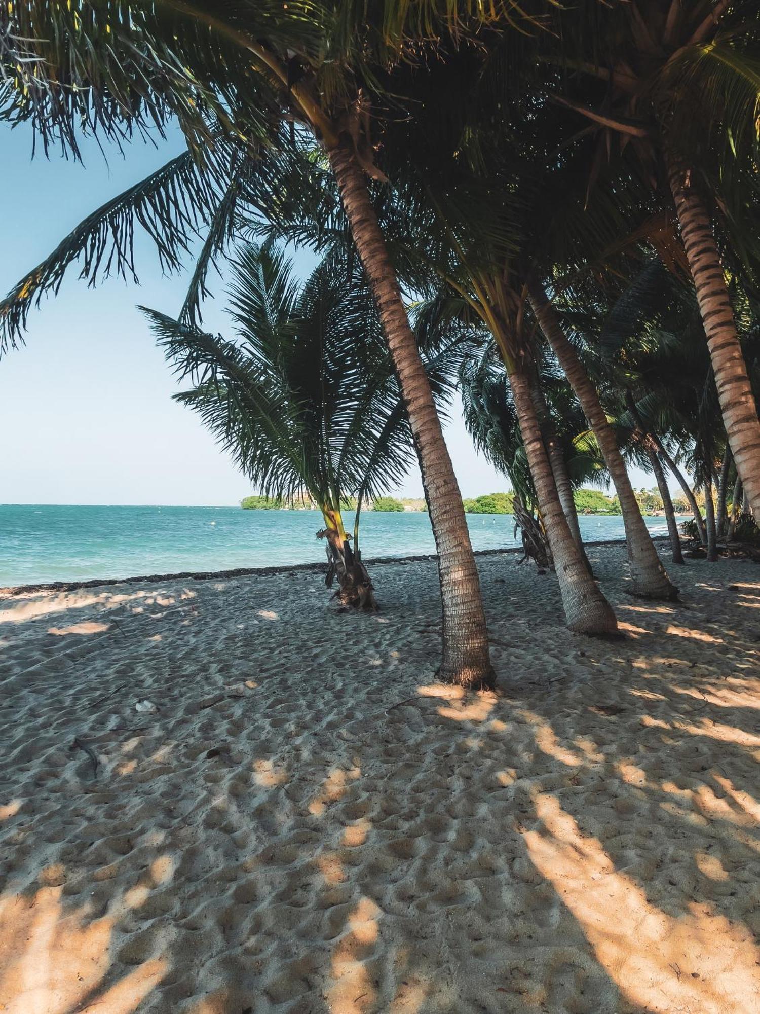 Anda Di Hows Hostel Placencia المظهر الخارجي الصورة