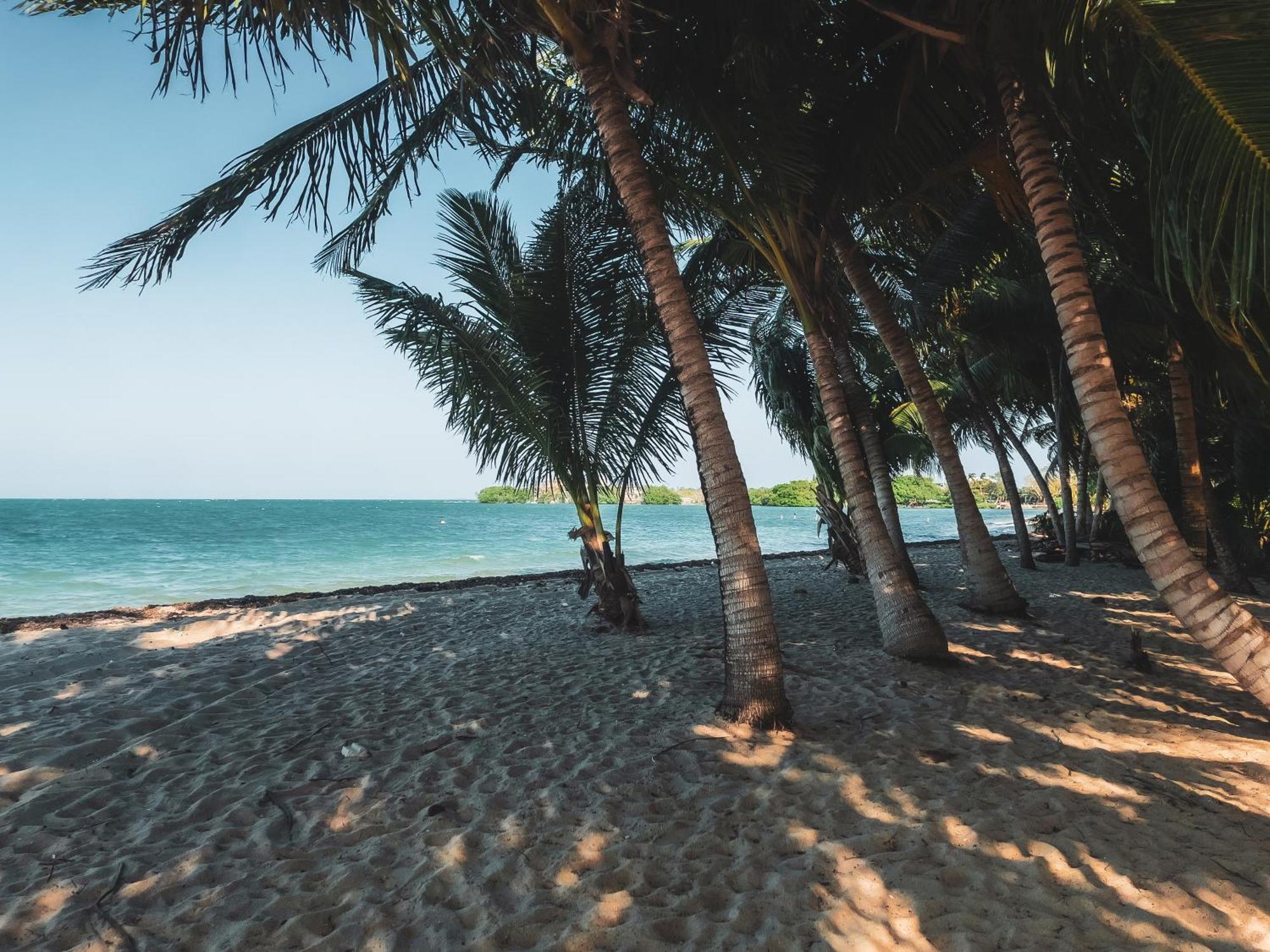 Anda Di Hows Hostel Placencia المظهر الخارجي الصورة