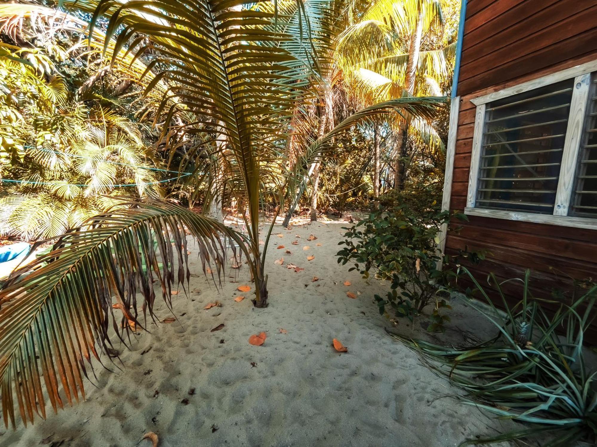 Anda Di Hows Hostel Placencia المظهر الخارجي الصورة