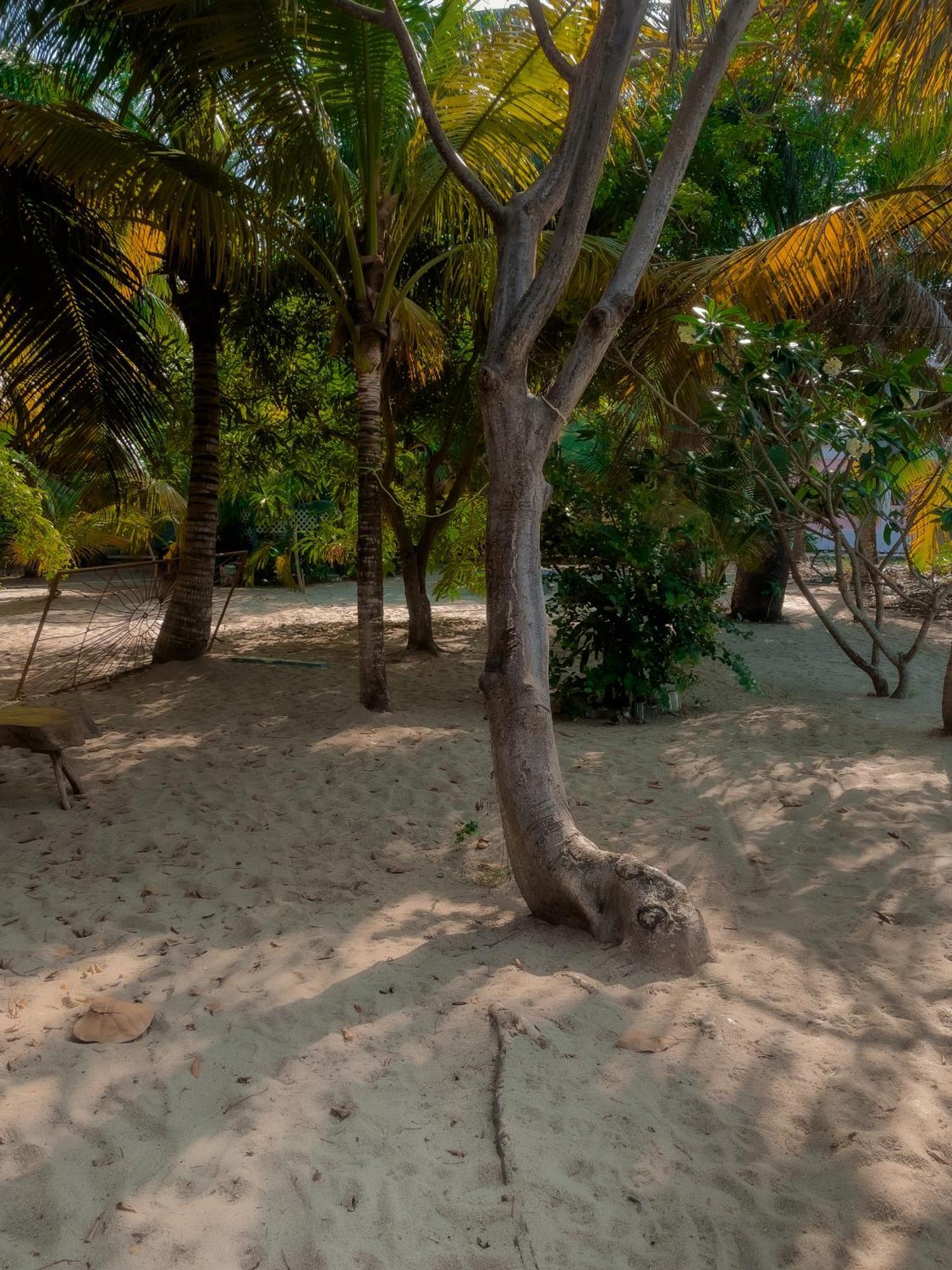 Anda Di Hows Hostel Placencia المظهر الخارجي الصورة