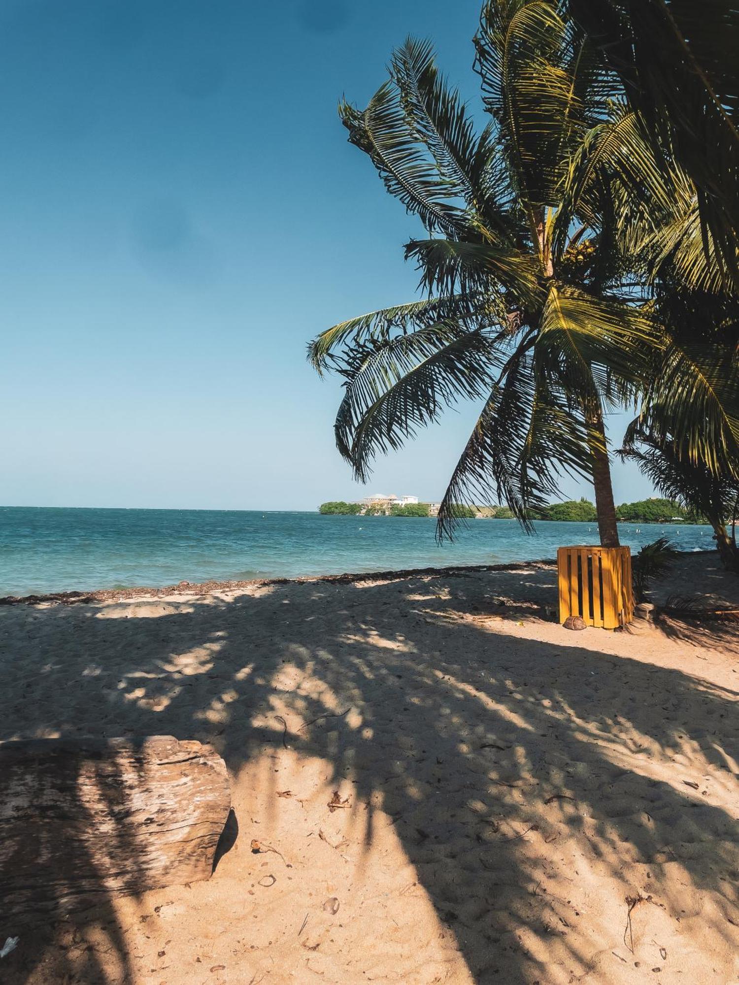 Anda Di Hows Hostel Placencia المظهر الخارجي الصورة