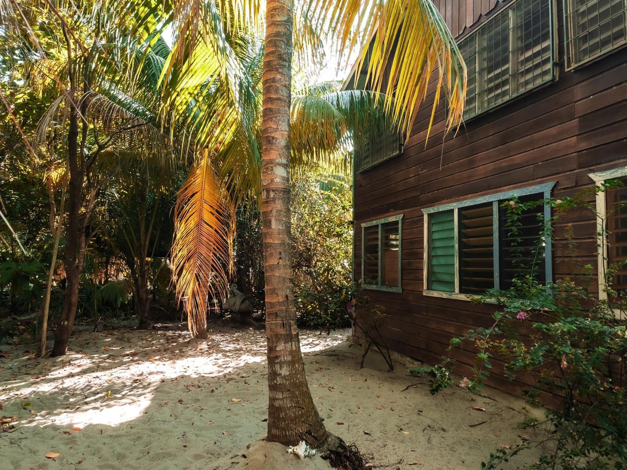 Anda Di Hows Hostel Placencia المظهر الخارجي الصورة