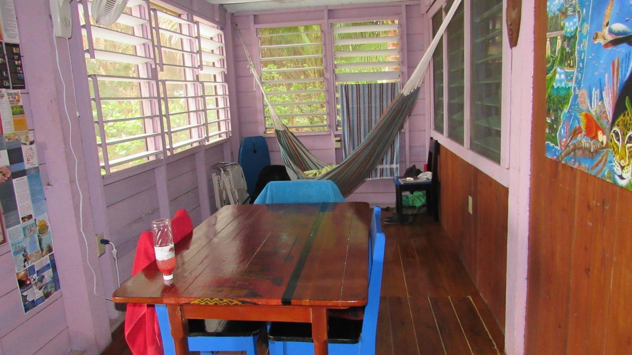 Anda Di Hows Hostel Placencia المظهر الخارجي الصورة