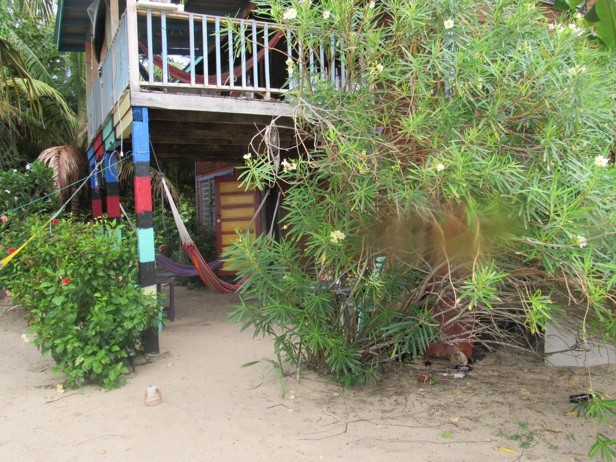Anda Di Hows Hostel Placencia المظهر الخارجي الصورة