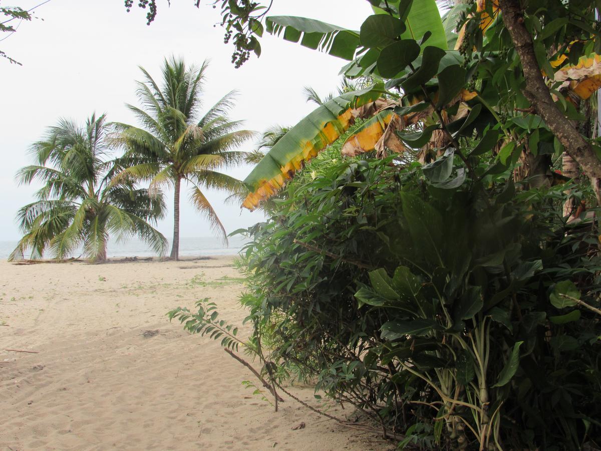 Anda Di Hows Hostel Placencia المظهر الخارجي الصورة